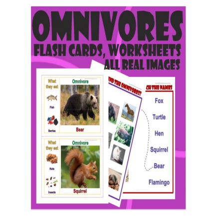 Omnivores - Flash cards, Worksheets with Real Images